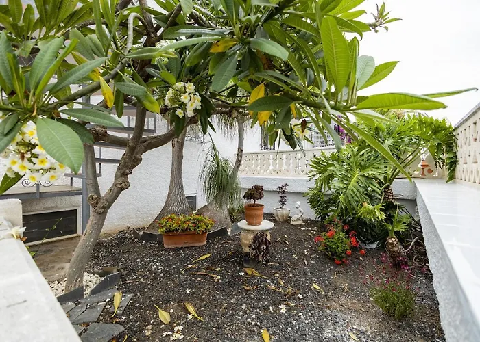 Bonito Y Acogedor Con Terraza Los Realejos
